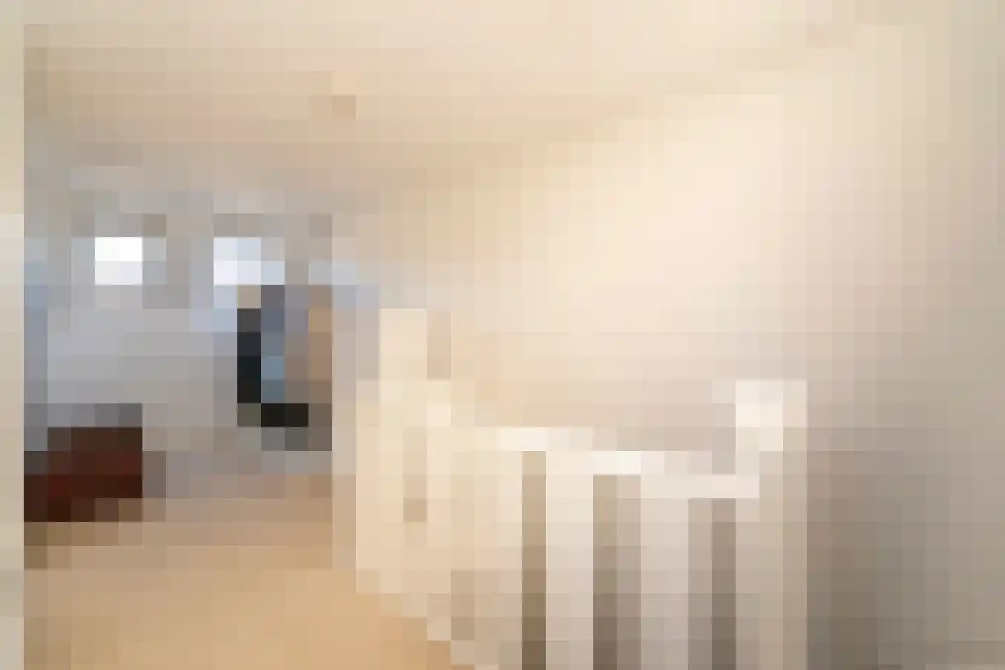 Nieuwe Bosscheweg 12 Tilburg thumbnail 57