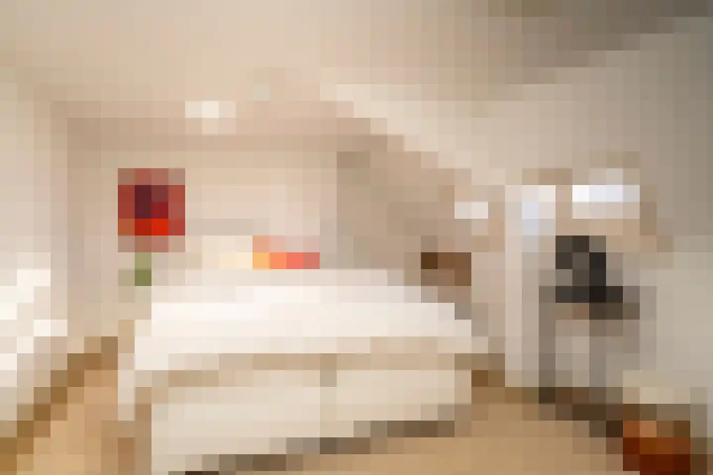 Nieuwe Bosscheweg 12 Tilburg thumbnail 59