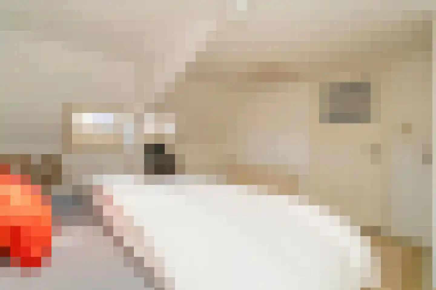 Nieuwe Bosscheweg 12 Tilburg thumbnail 60
