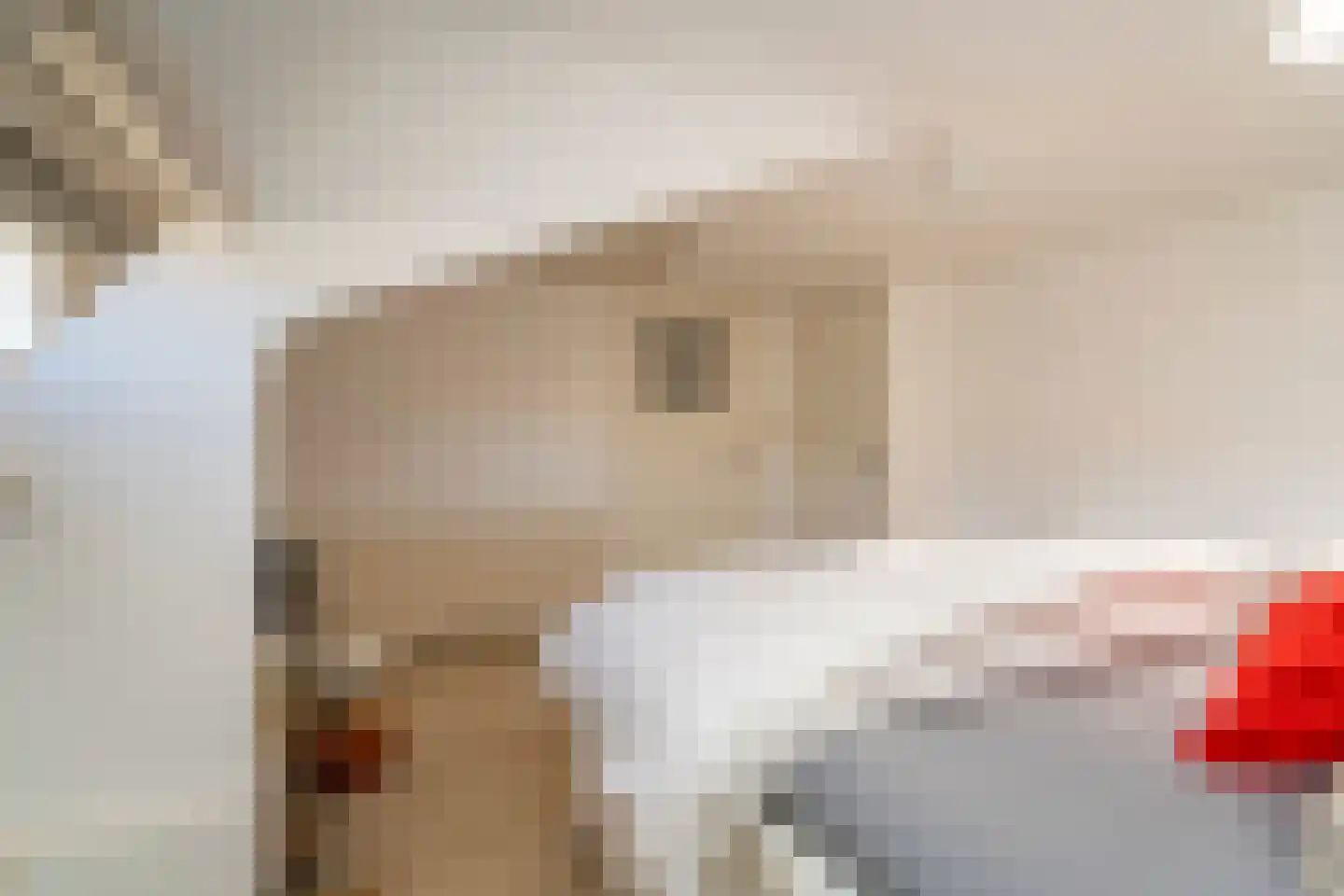 Nieuwe Bosscheweg 12 Tilburg thumbnail 61