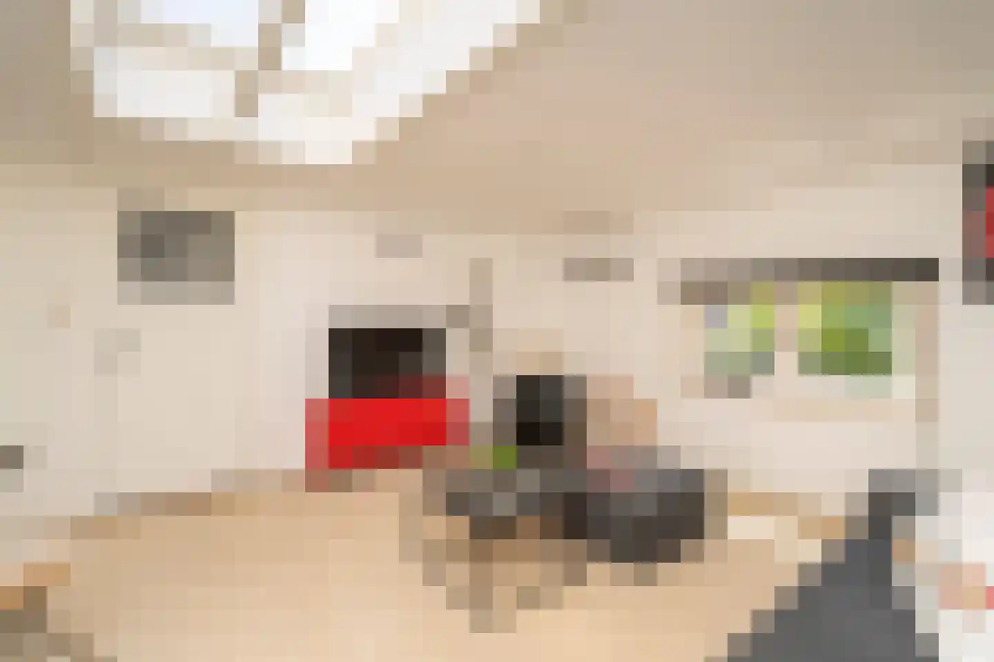 Nieuwe Bosscheweg 12 Tilburg thumbnail 63