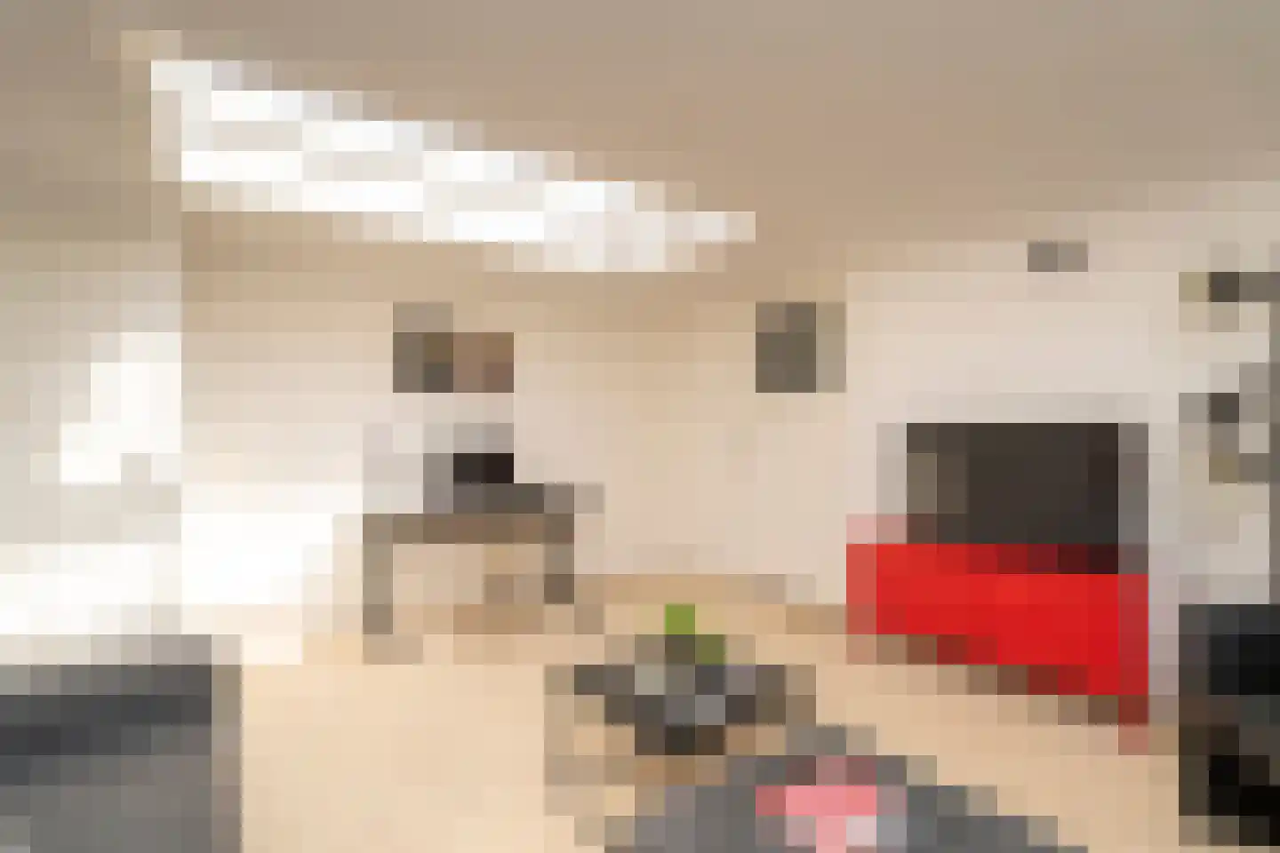 Nieuwe Bosscheweg 12 Tilburg thumbnail 64