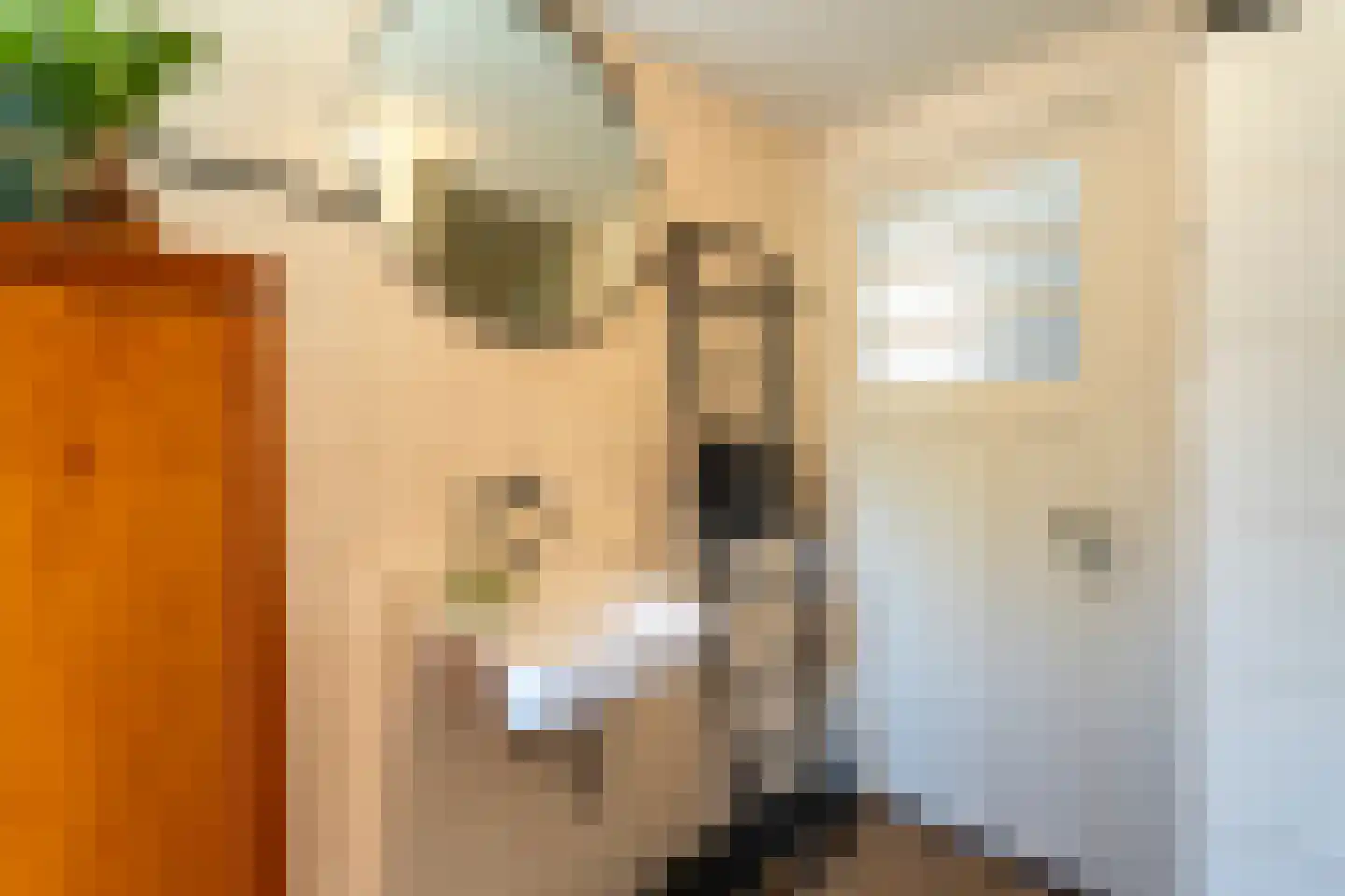 Nieuwe Bosscheweg 12 Tilburg thumbnail 66