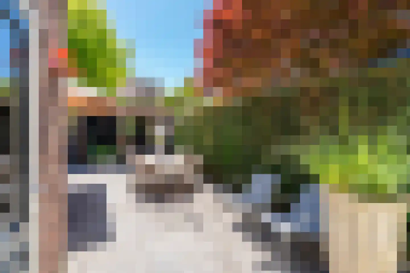 Nieuwe Bosscheweg 12 Tilburg thumbnail 67