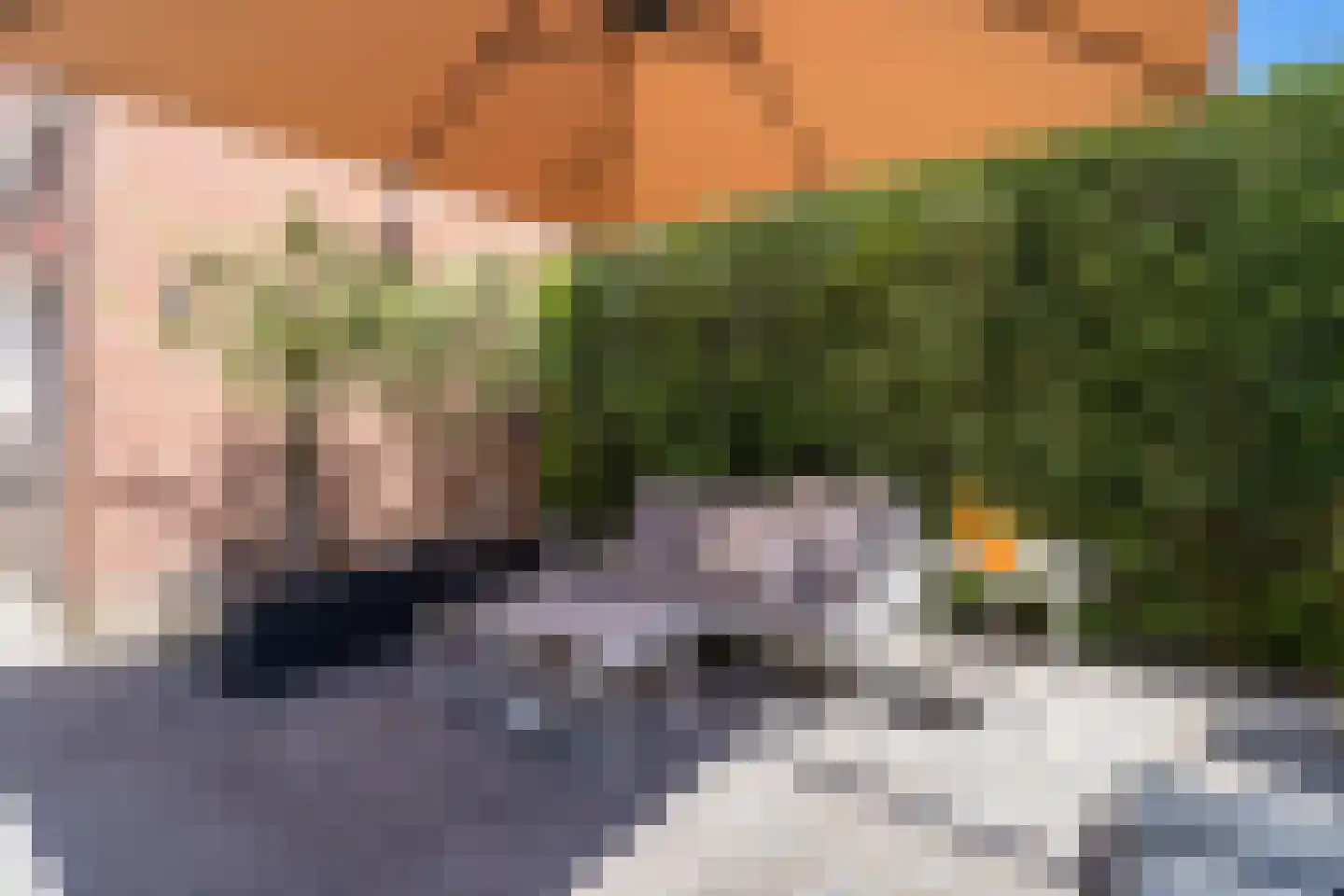 Nieuwe Bosscheweg 12 Tilburg thumbnail 70