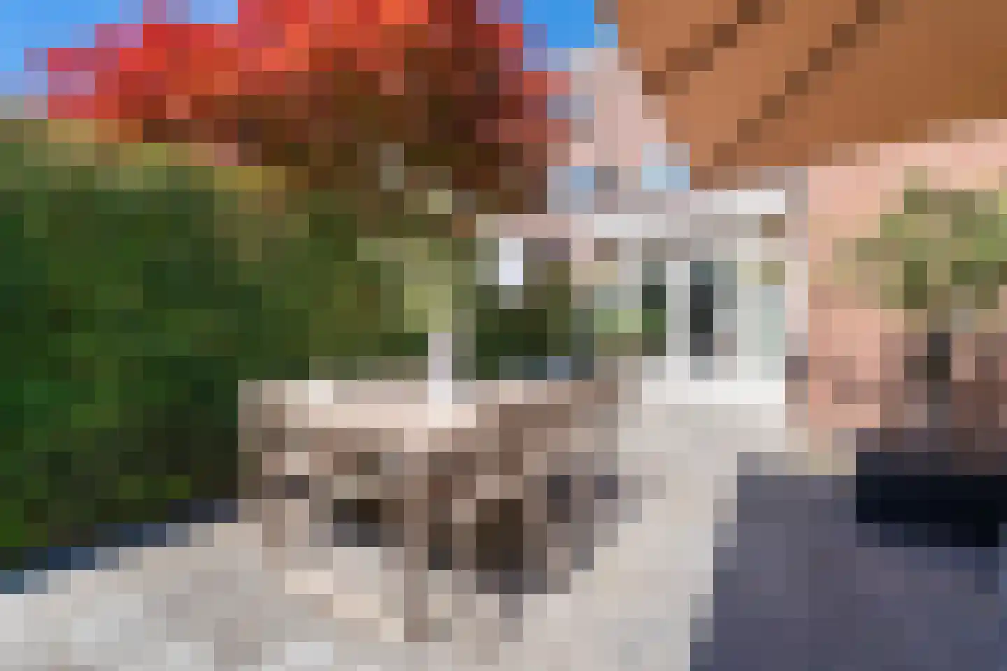 Nieuwe Bosscheweg 12 Tilburg thumbnail 71