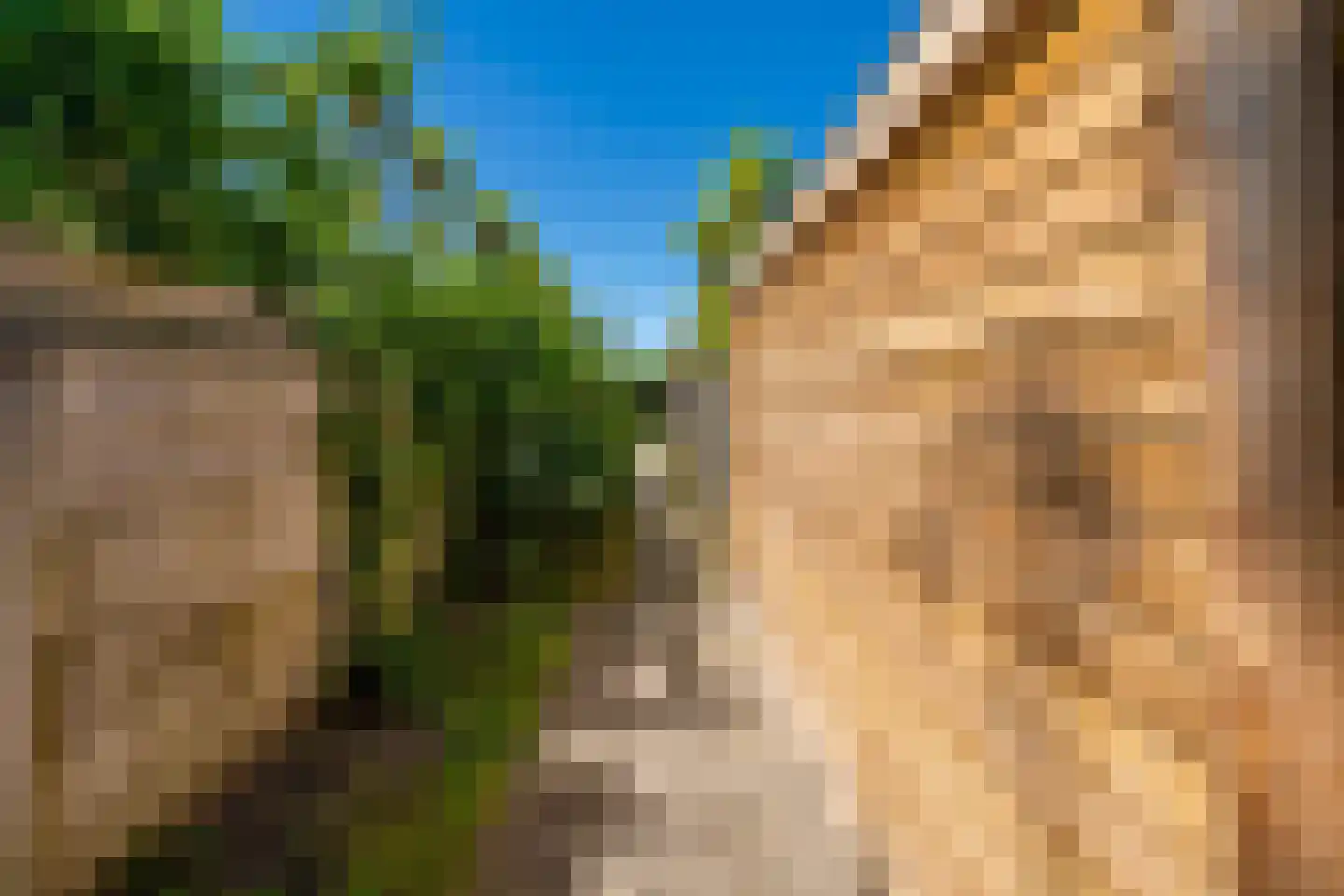 Nieuwe Bosscheweg 12 Tilburg thumbnail 75