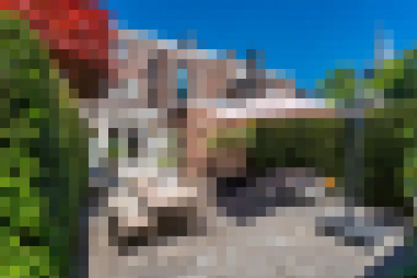 Nieuwe Bosscheweg 12 Tilburg thumbnail 8