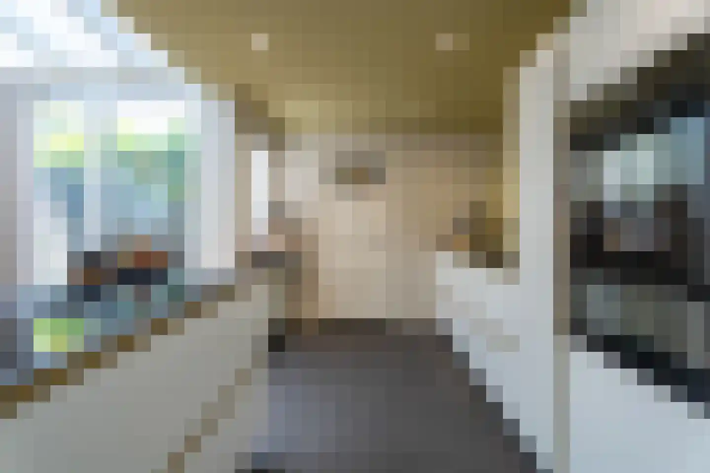 Nieuwe Bosscheweg 81 Tilburg thumbnail 14