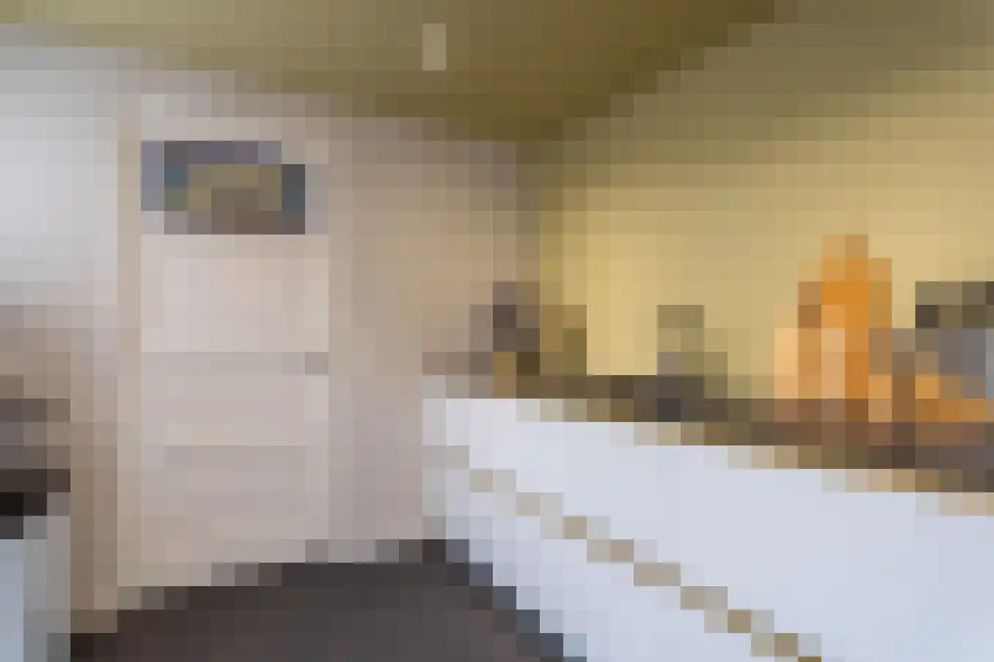 Nieuwe Bosscheweg 81 Tilburg thumbnail 16