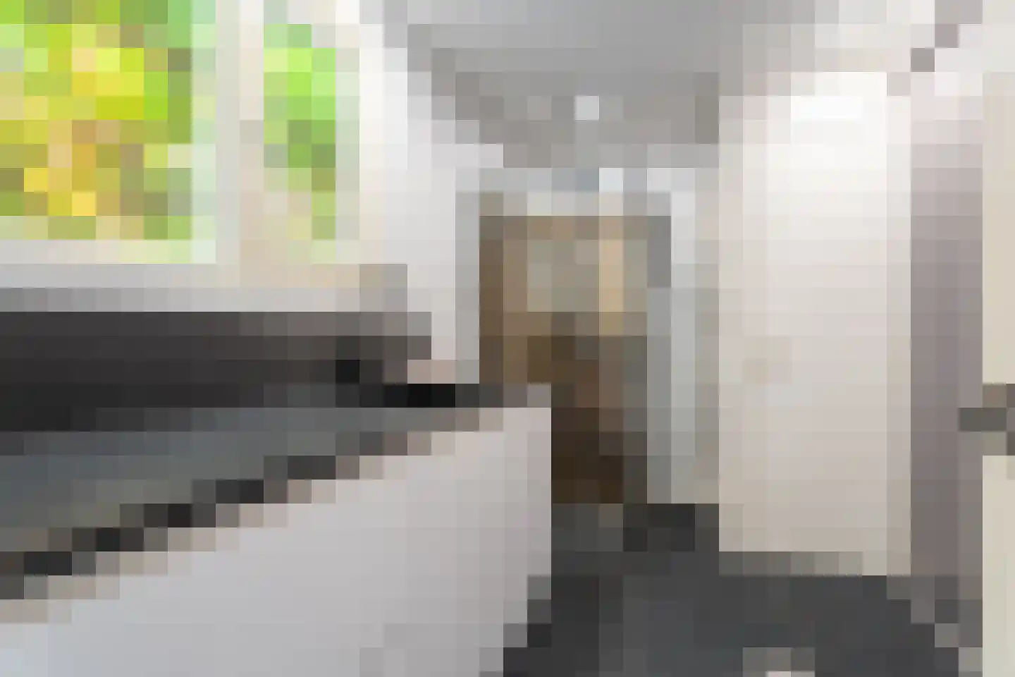 Nieuwe Bosscheweg 81 Tilburg thumbnail 17