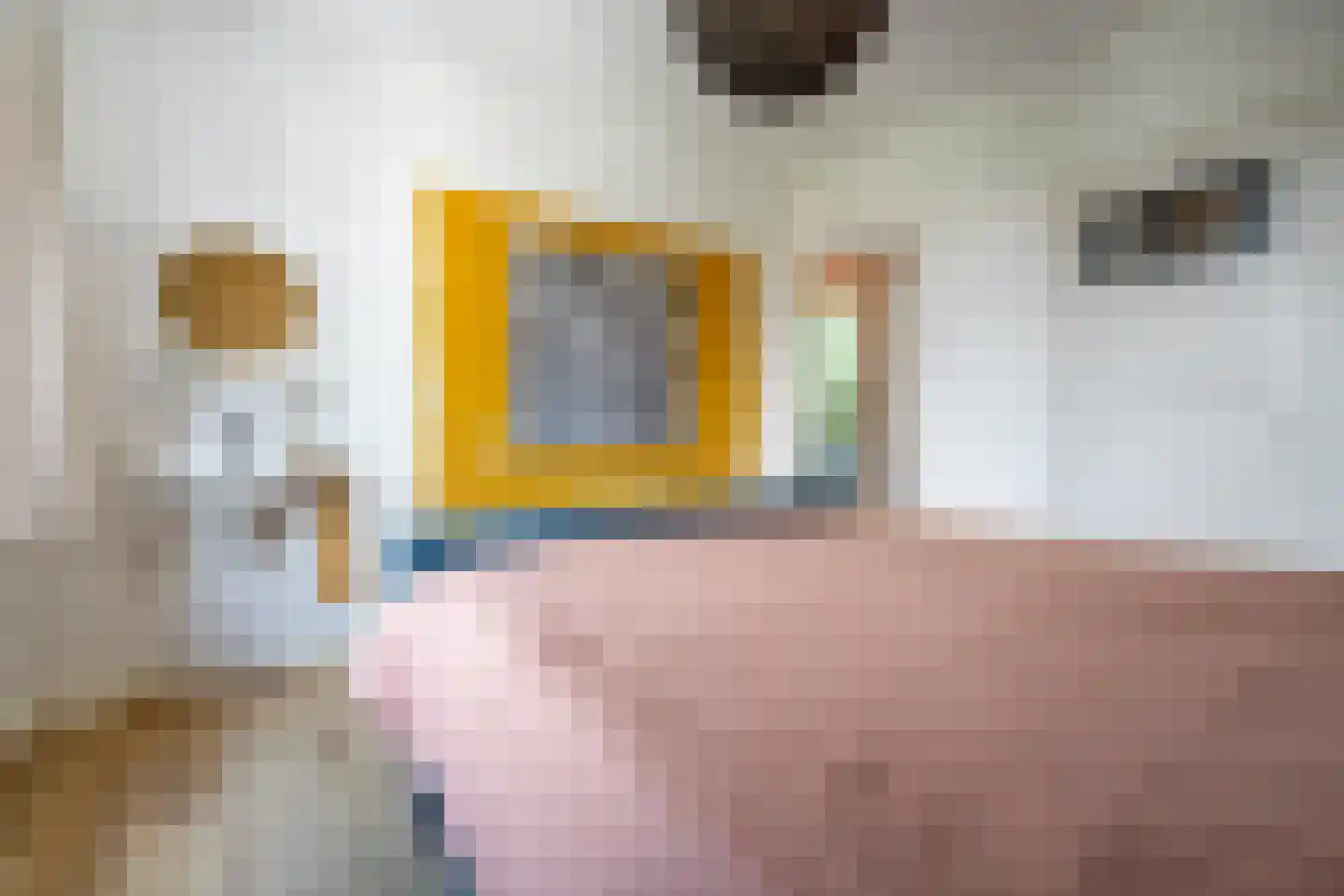 Nieuwe Bosscheweg 81 Tilburg thumbnail 20