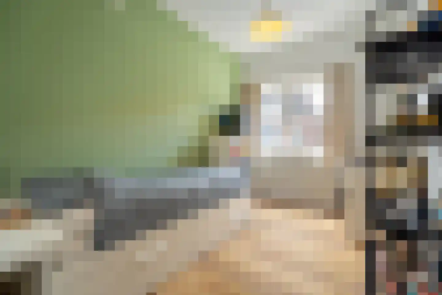 Nieuwe Bosscheweg 81 Tilburg thumbnail 23