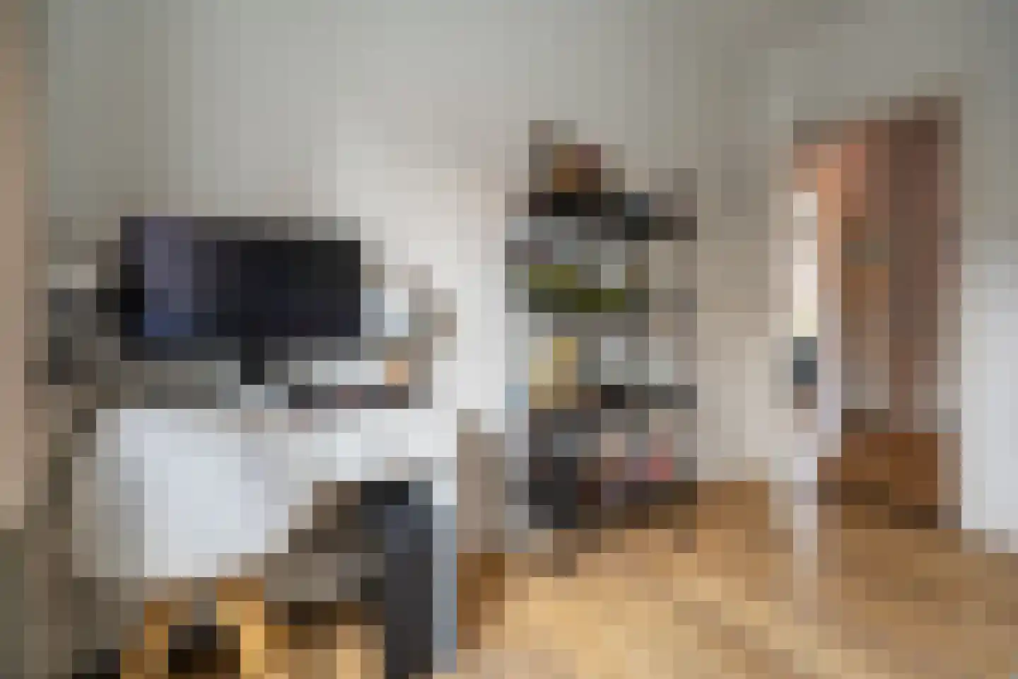 Nieuwe Bosscheweg 81 Tilburg thumbnail 24
