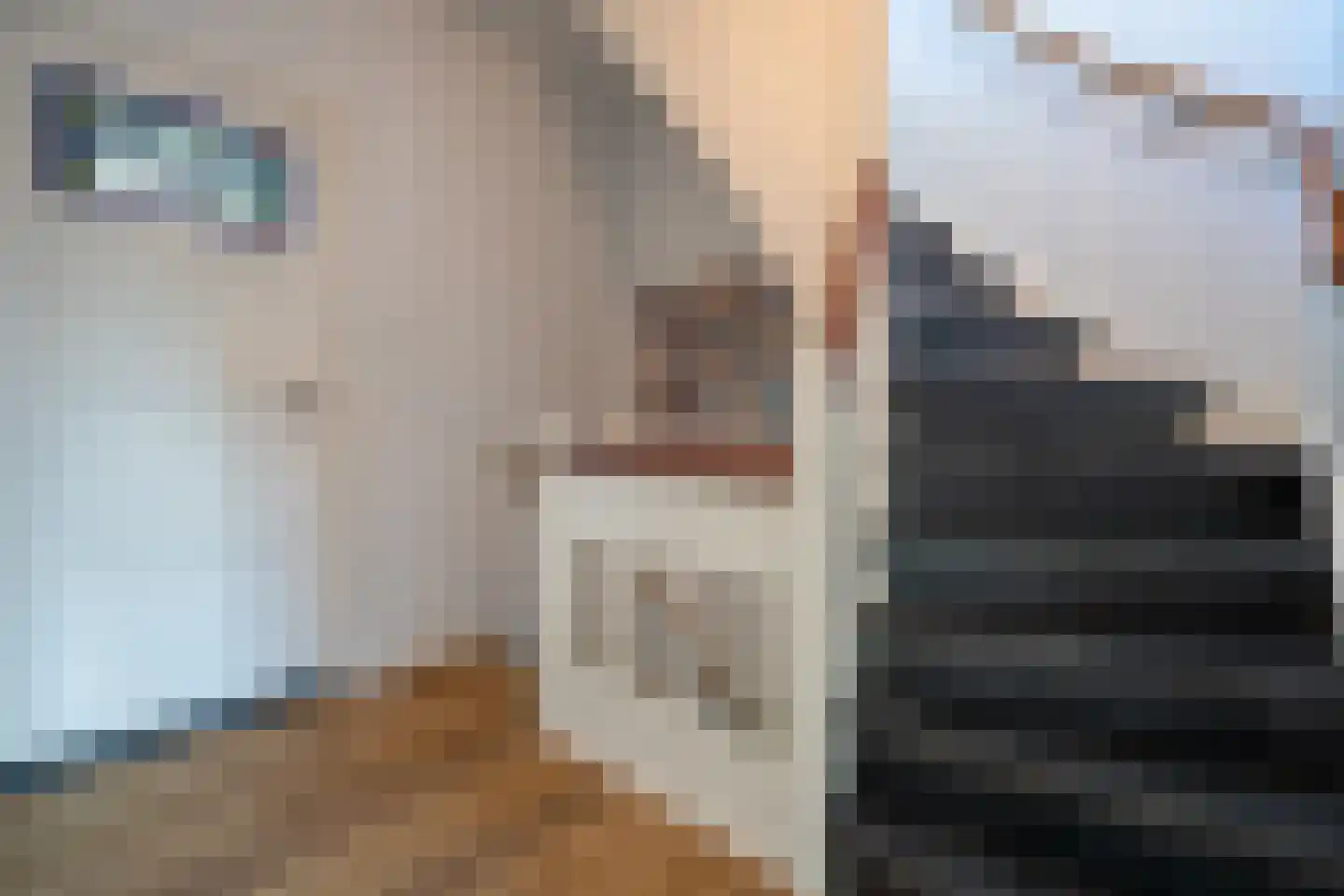 Nieuwe Bosscheweg 81 Tilburg thumbnail 30