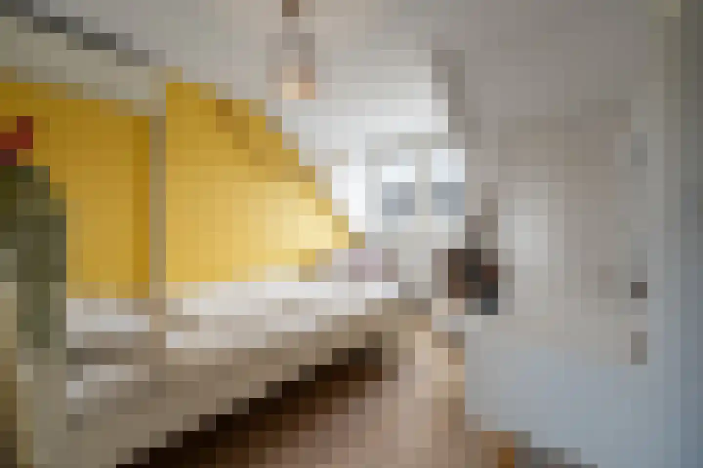 Nieuwe Bosscheweg 81 Tilburg thumbnail 34