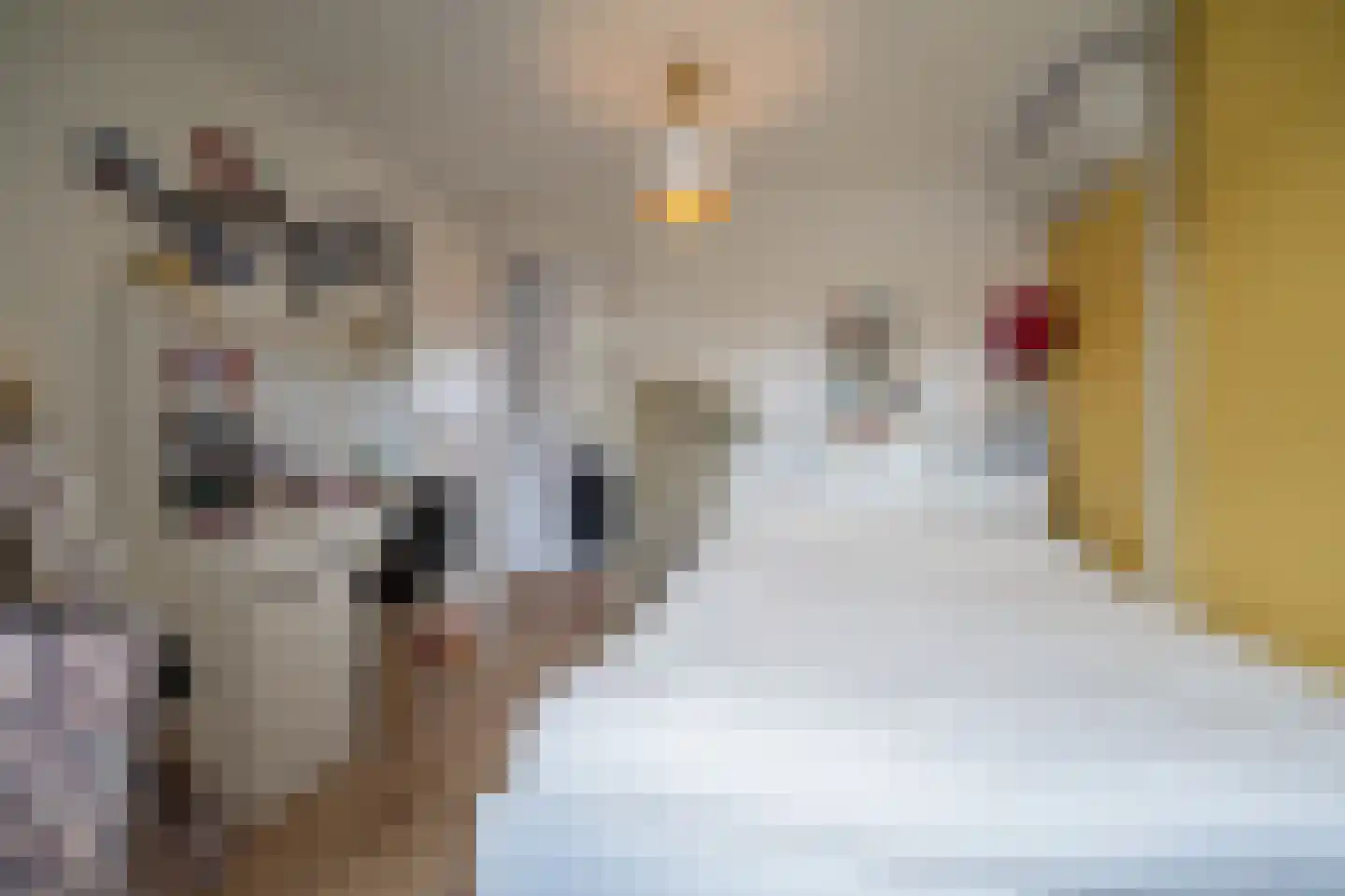 Nieuwe Bosscheweg 81 Tilburg thumbnail 35