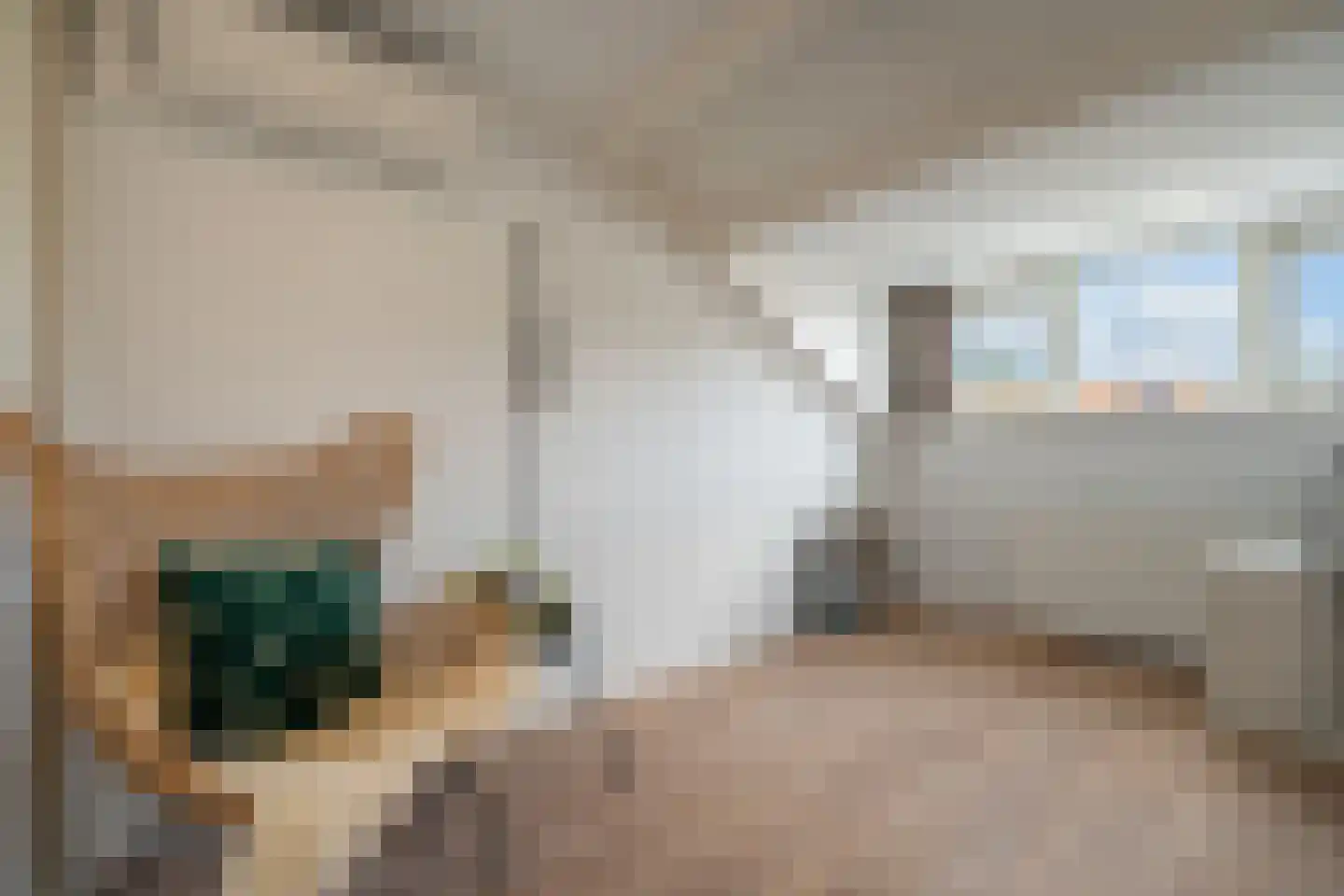Nieuwe Bosscheweg 81 Tilburg thumbnail 37