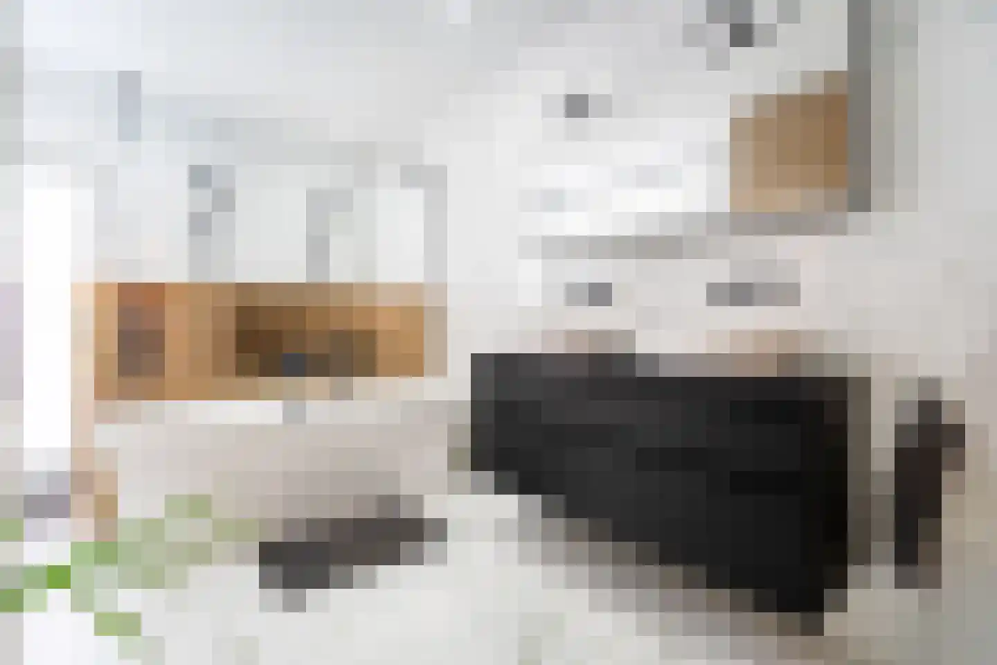 Nieuwe Bosscheweg 81 Tilburg thumbnail 4