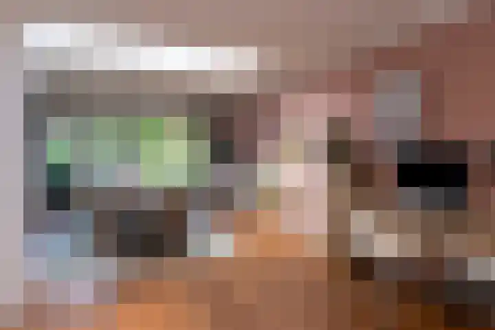 Nieuwe Bosscheweg 89 Tilburg thumbnail 17