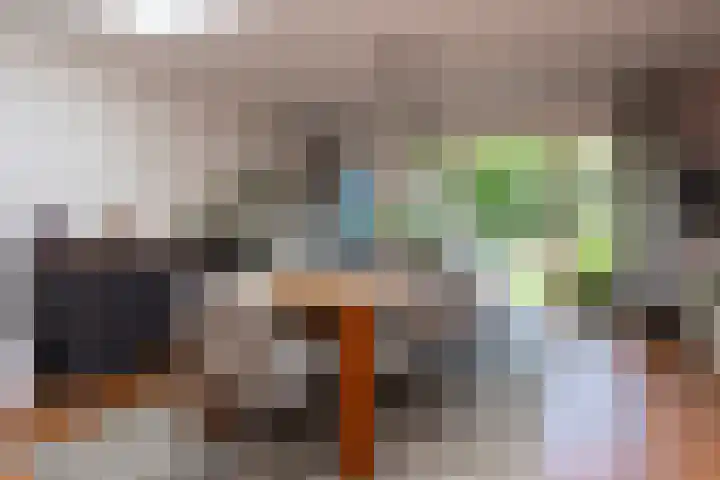 Nieuwe Bosscheweg 89 Tilburg thumbnail 18