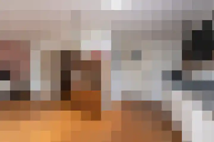 Nieuwe Bosscheweg 89 Tilburg thumbnail 25