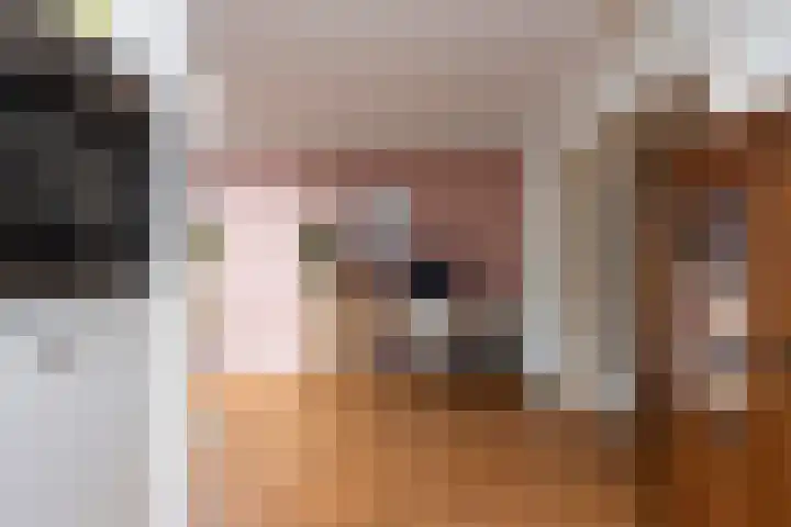 Nieuwe Bosscheweg 89 Tilburg thumbnail 26