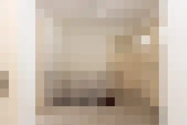 Nieuwe Bosscheweg 89 Tilburg thumbnail 28