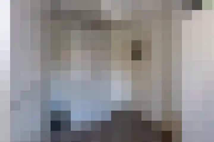 Nieuwe Bosscheweg 89 Tilburg thumbnail 33