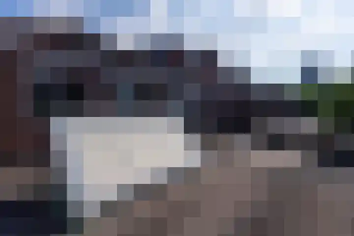 Nieuwe Bosscheweg 89 Tilburg thumbnail 40