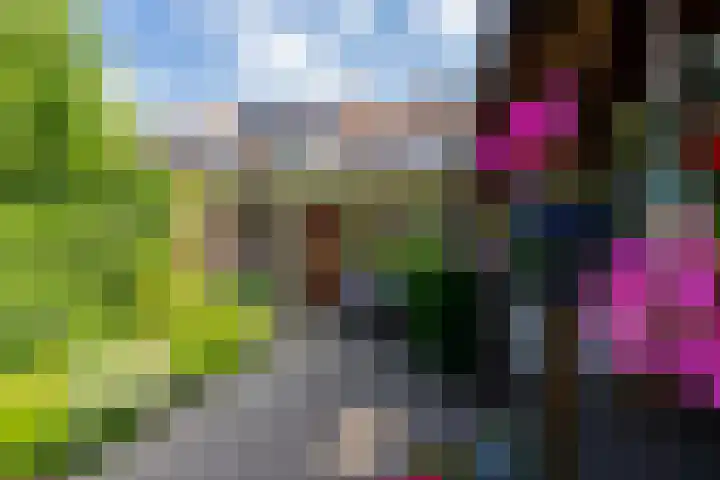 Nieuwe Bosscheweg 89 Tilburg thumbnail 42