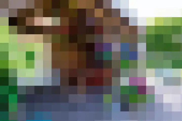 Nieuwe Bosscheweg 89 Tilburg thumbnail 5