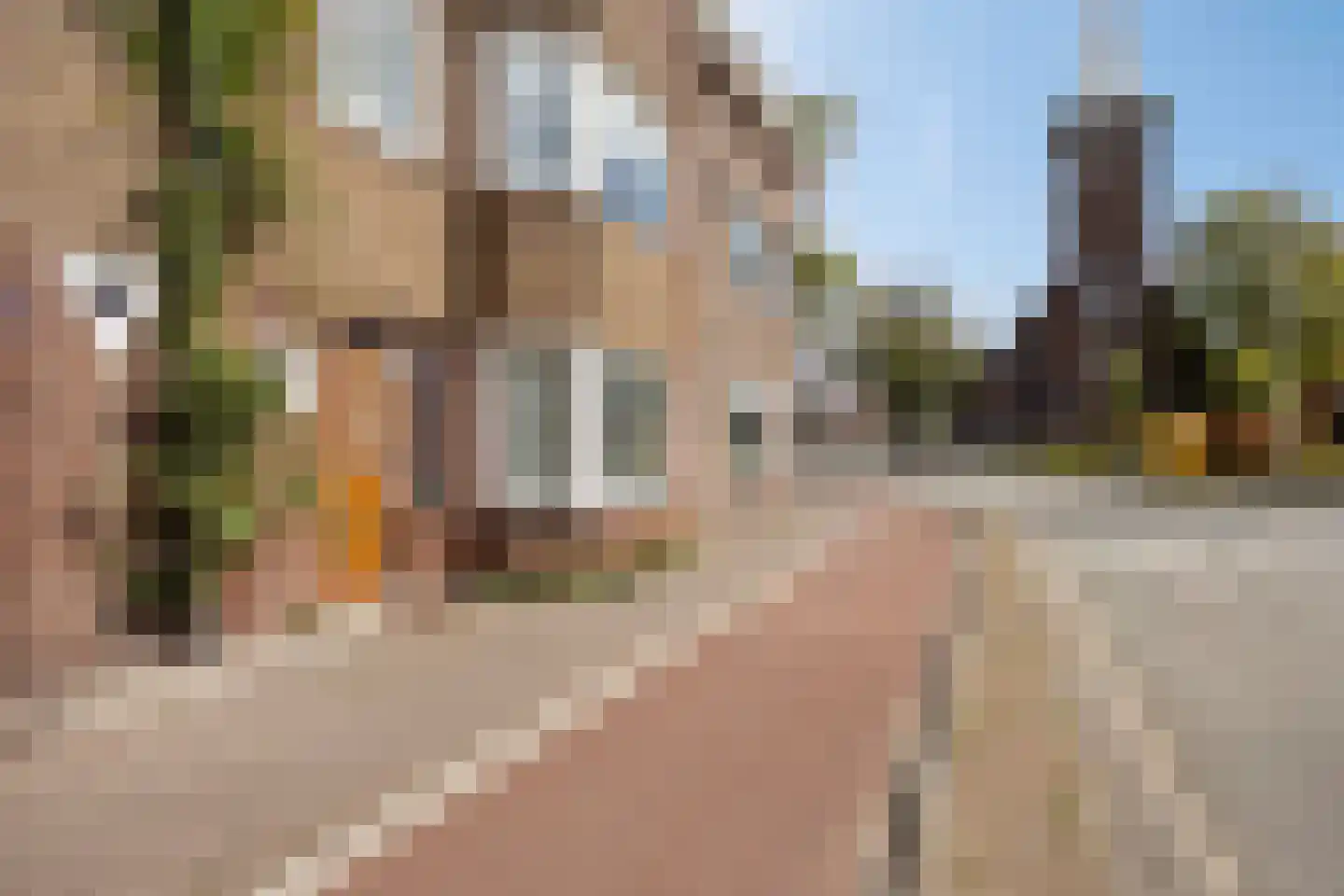 Nieuwe Bosscheweg 9 Tilburg foto 2