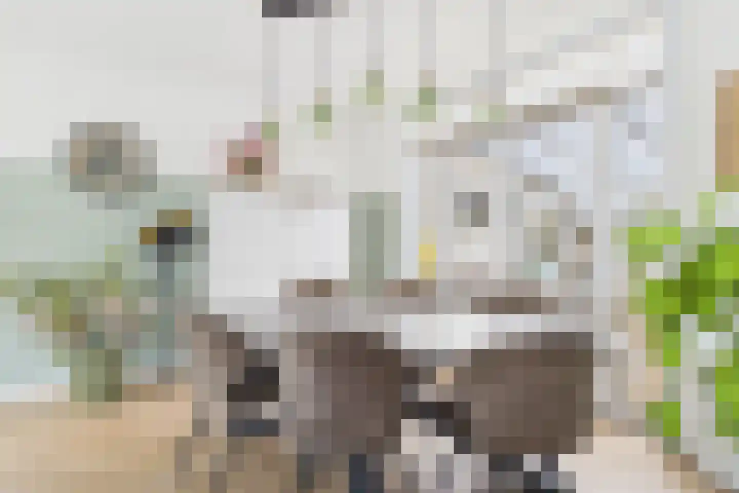 Nieuwe Bosstraat 1 Sas van Gent thumbnail 10