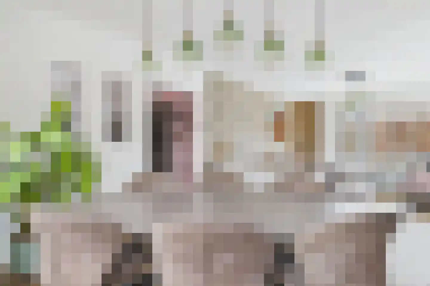 Nieuwe Bosstraat 1 Sas van Gent thumbnail 11