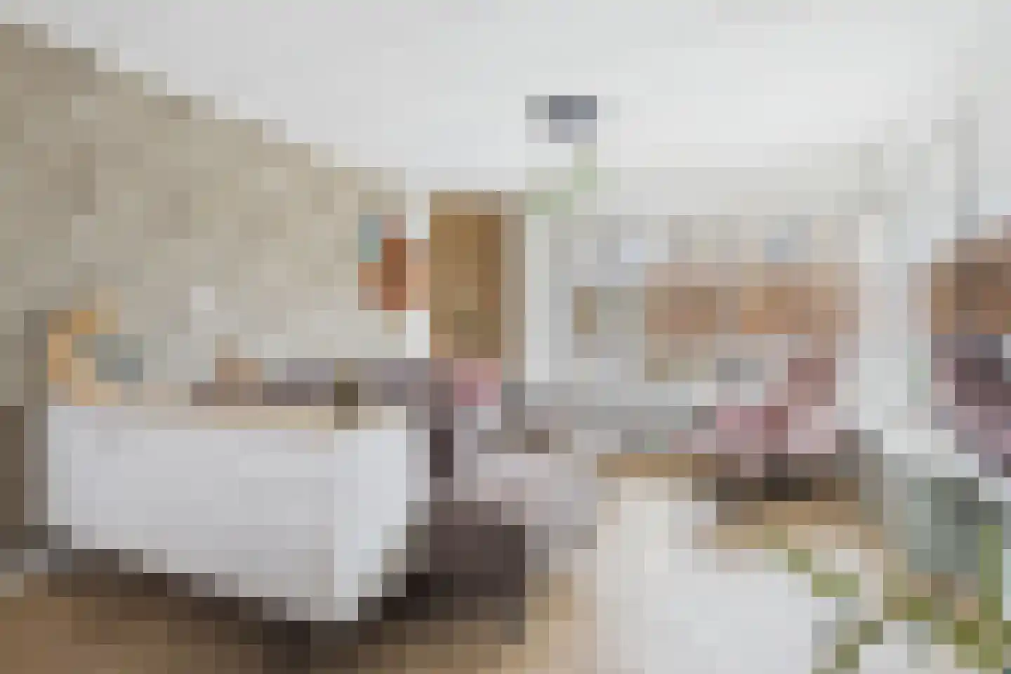 Nieuwe Bosstraat 1 Sas van Gent thumbnail 12