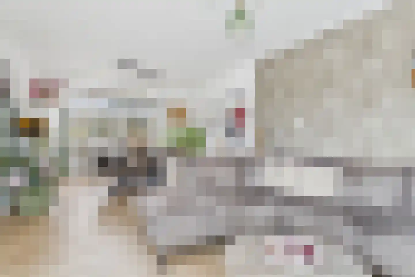 Nieuwe Bosstraat 1 Sas van Gent thumbnail 13