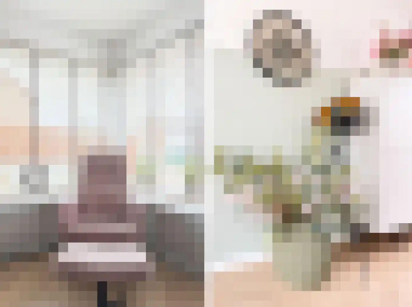 Nieuwe Bosstraat 1 Sas van Gent thumbnail 14
