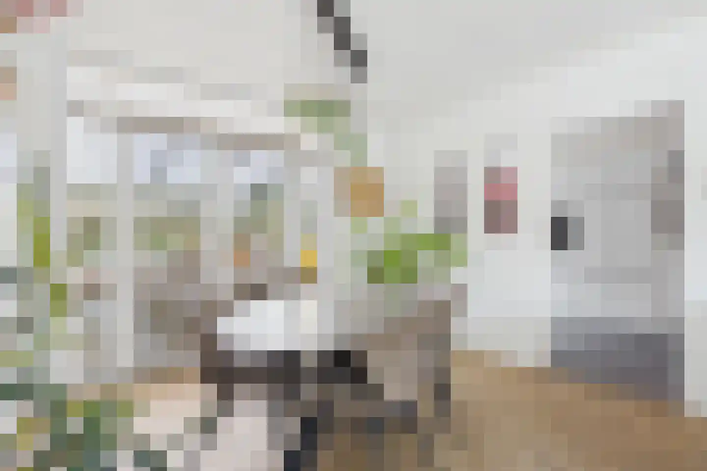 Nieuwe Bosstraat 1 Sas van Gent thumbnail 15