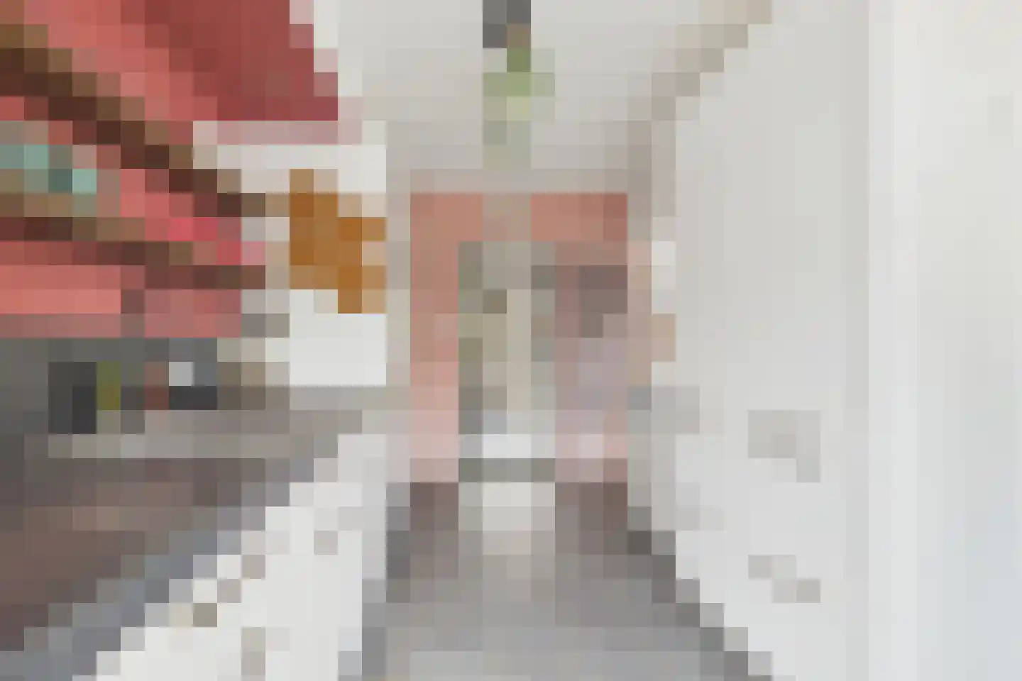 Nieuwe Bosstraat 1 Sas van Gent thumbnail 17