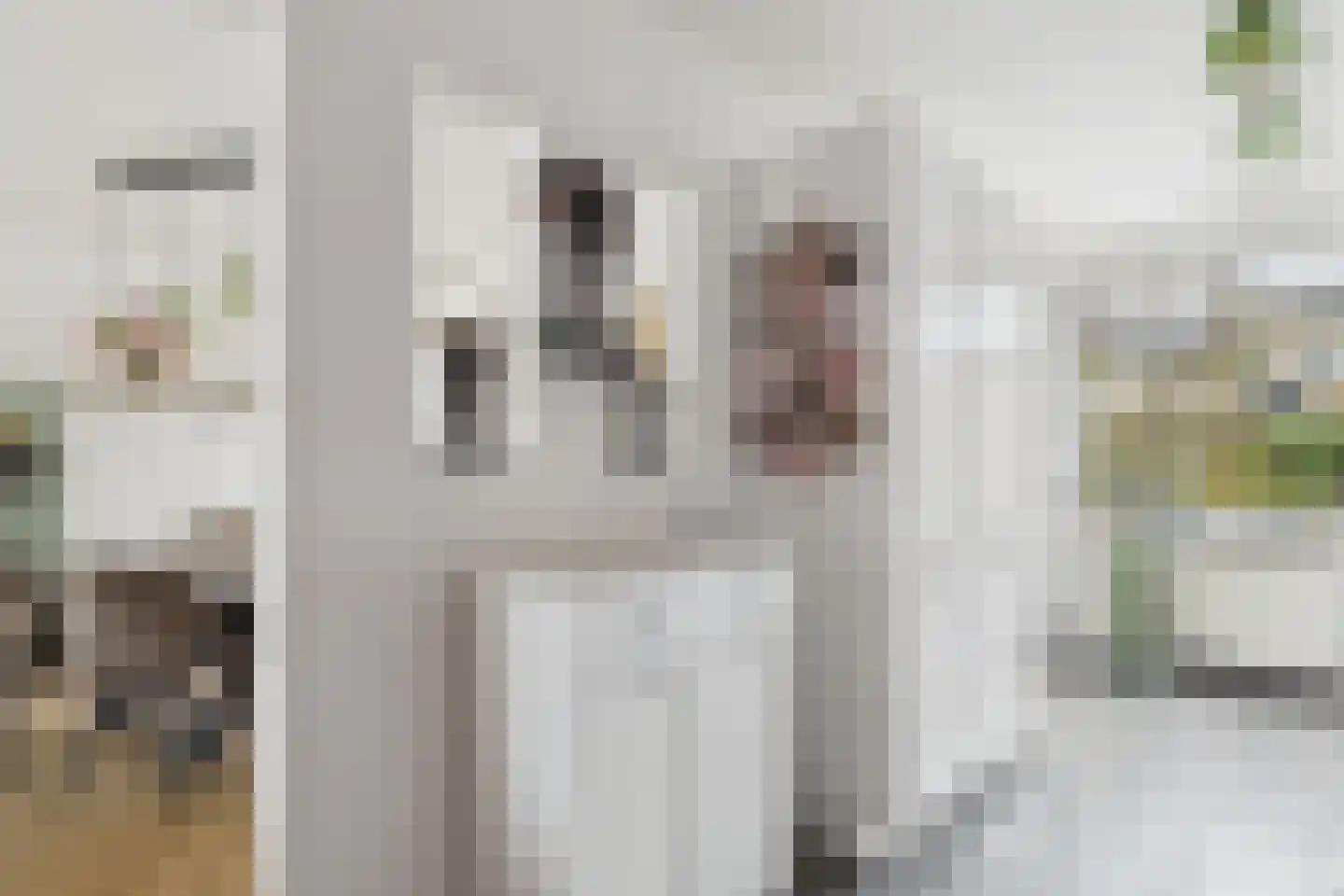 Nieuwe Bosstraat 1 Sas van Gent thumbnail 19