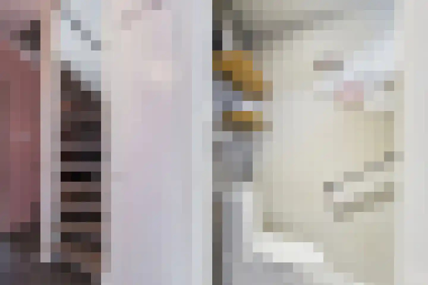 Nieuwe Bosstraat 1 Sas van Gent thumbnail 20