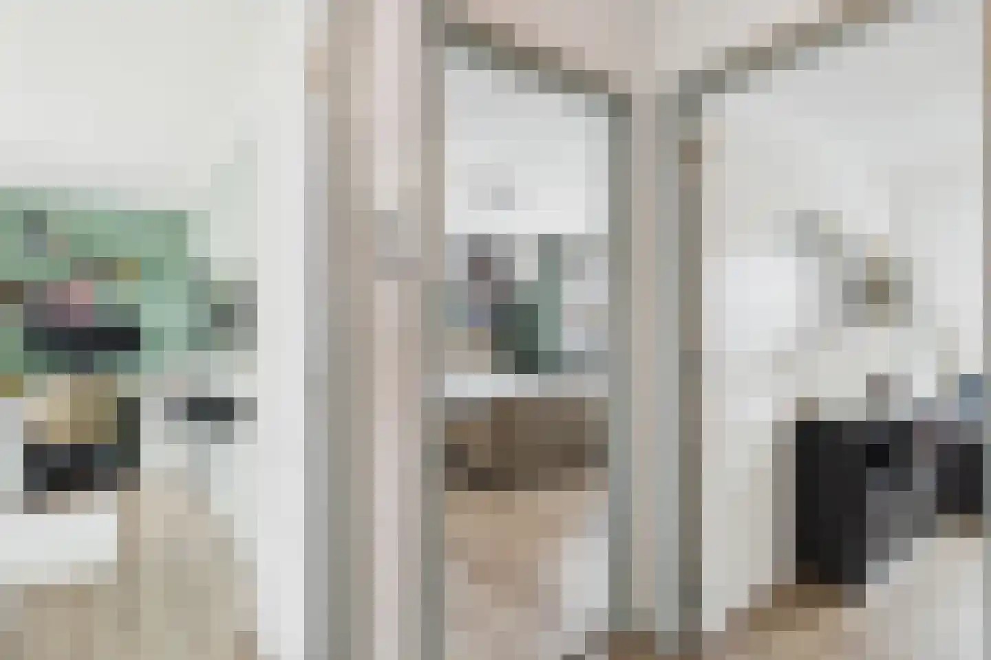 Nieuwe Bosstraat 1 Sas van Gent thumbnail 21