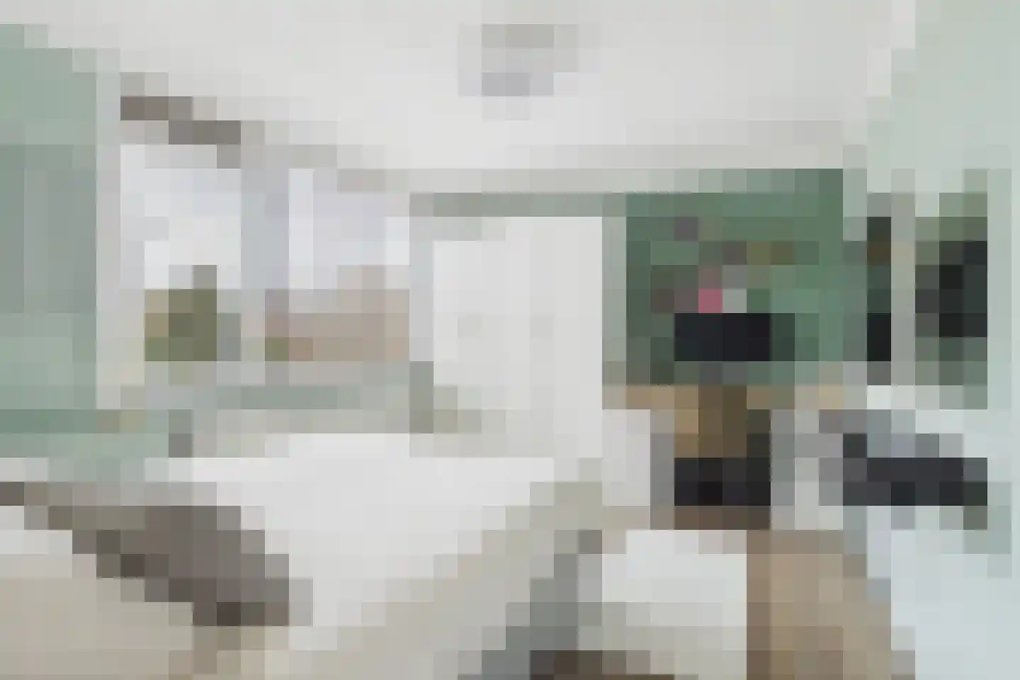 Nieuwe Bosstraat 1 Sas van Gent thumbnail 22
