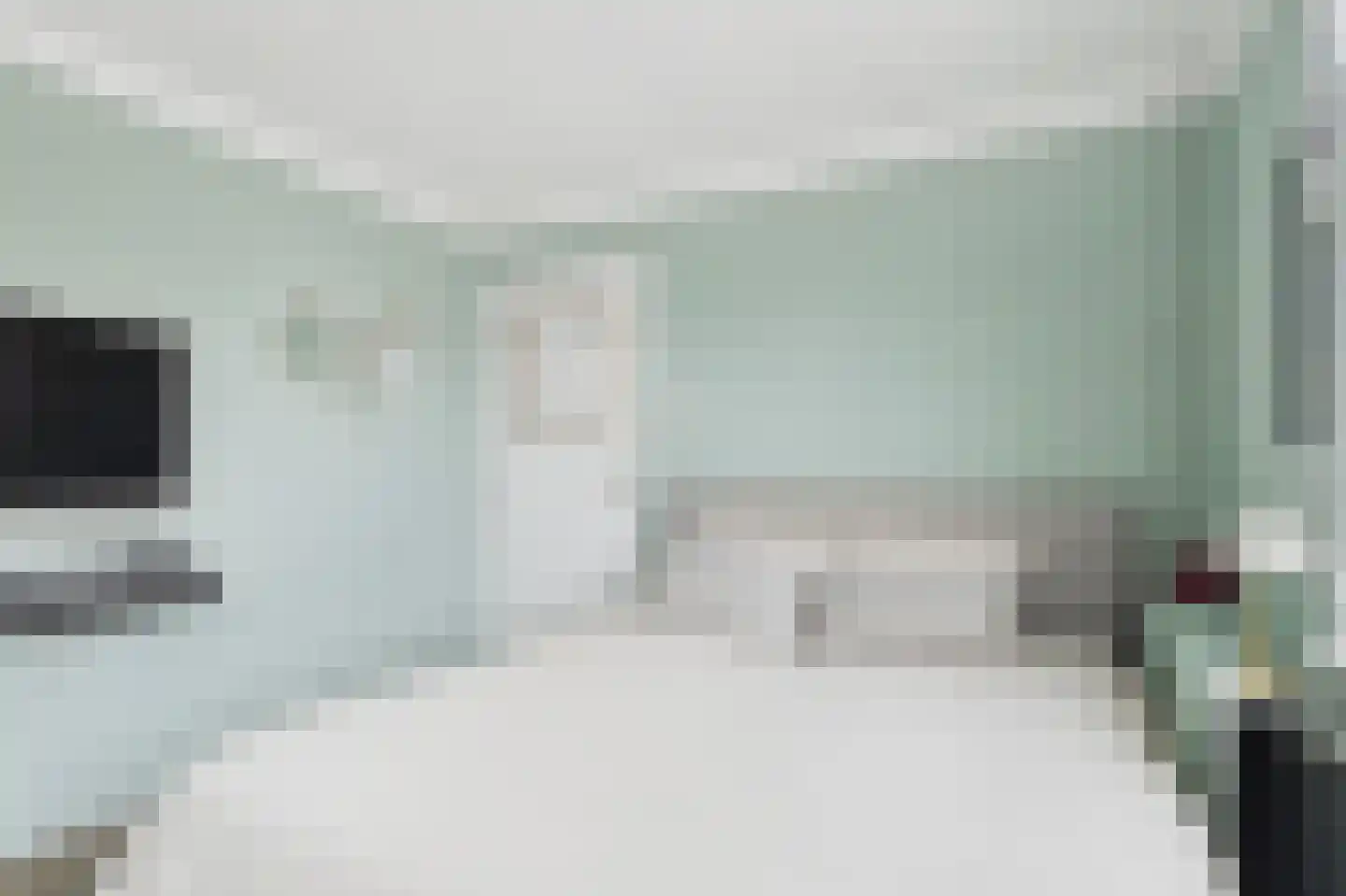 Nieuwe Bosstraat 1 Sas van Gent thumbnail 23