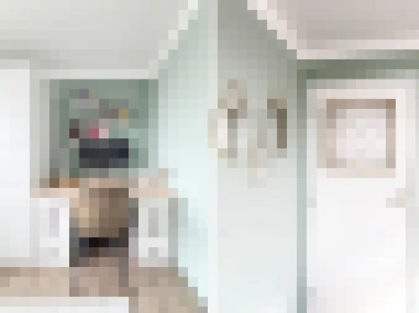 Nieuwe Bosstraat 1 Sas van Gent thumbnail 24