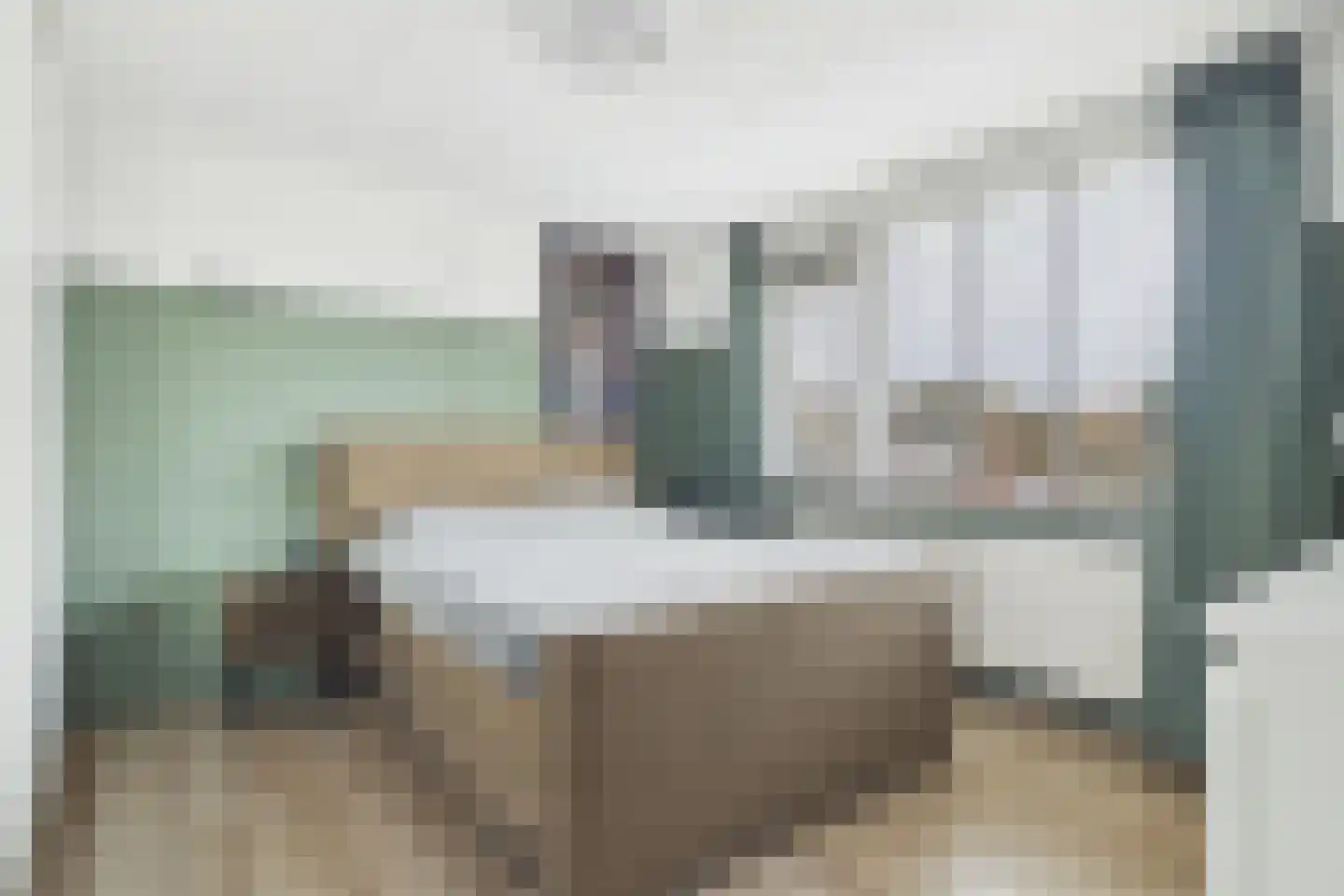 Nieuwe Bosstraat 1 Sas van Gent thumbnail 25