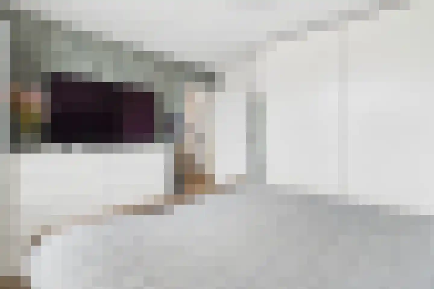 Nieuwe Bosstraat 1 Sas van Gent thumbnail 26