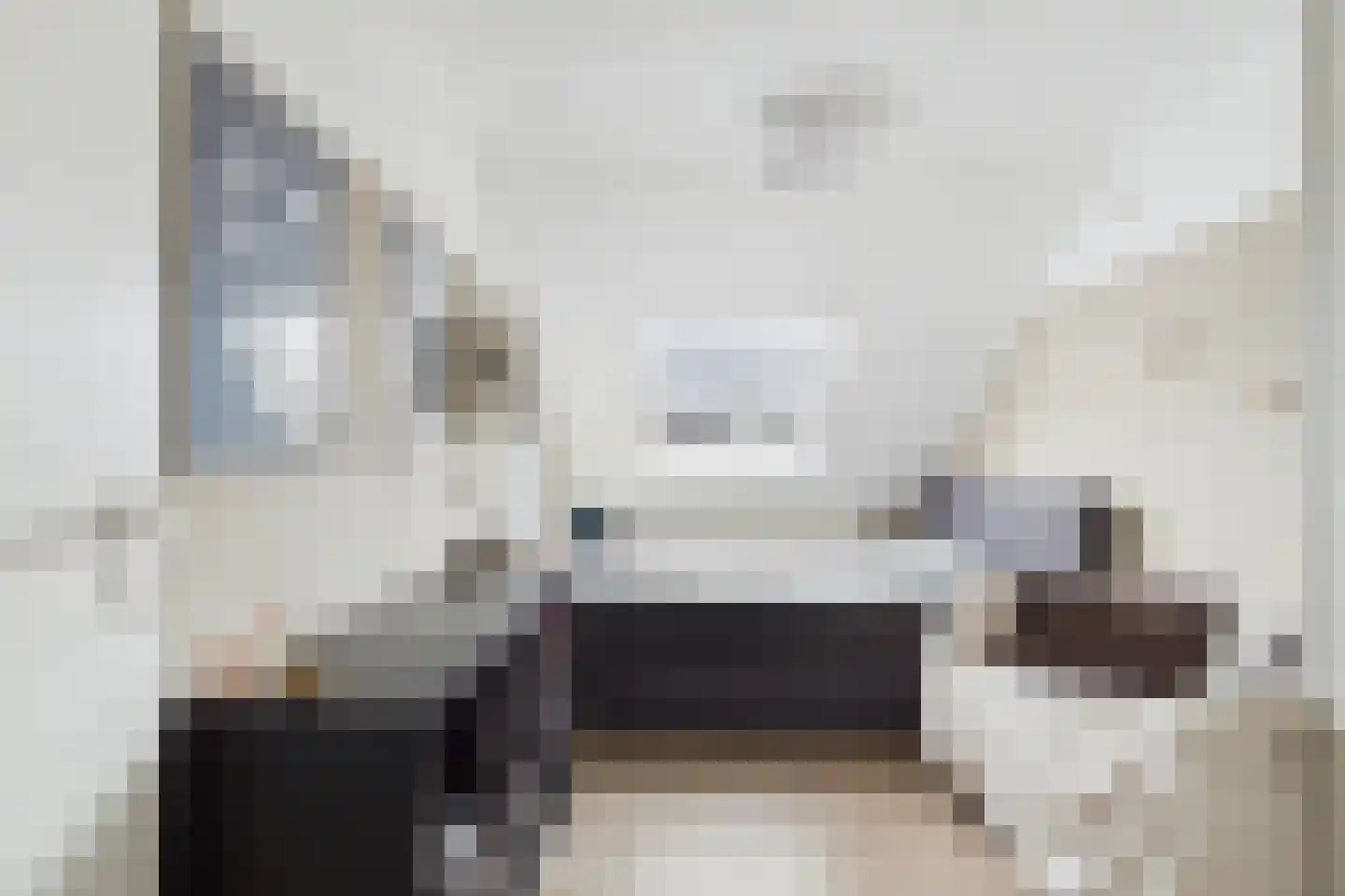 Nieuwe Bosstraat 1 Sas van Gent thumbnail 27