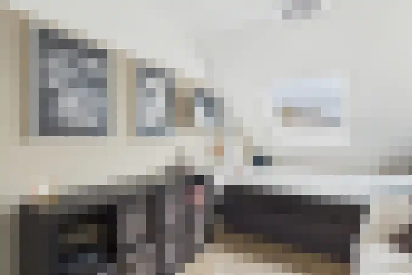 Nieuwe Bosstraat 1 Sas van Gent thumbnail 28